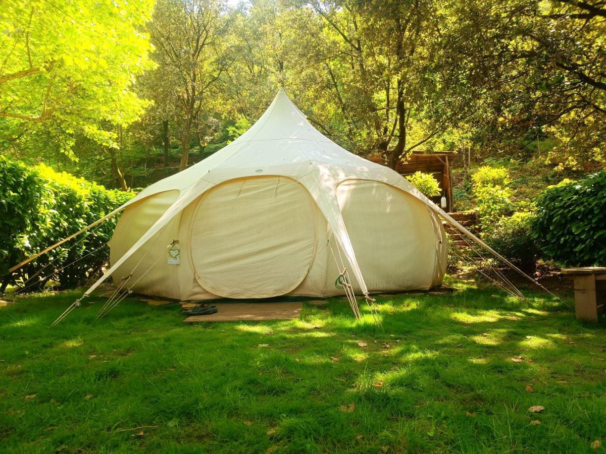Le Moulin Du Luech Campsite Peyremale