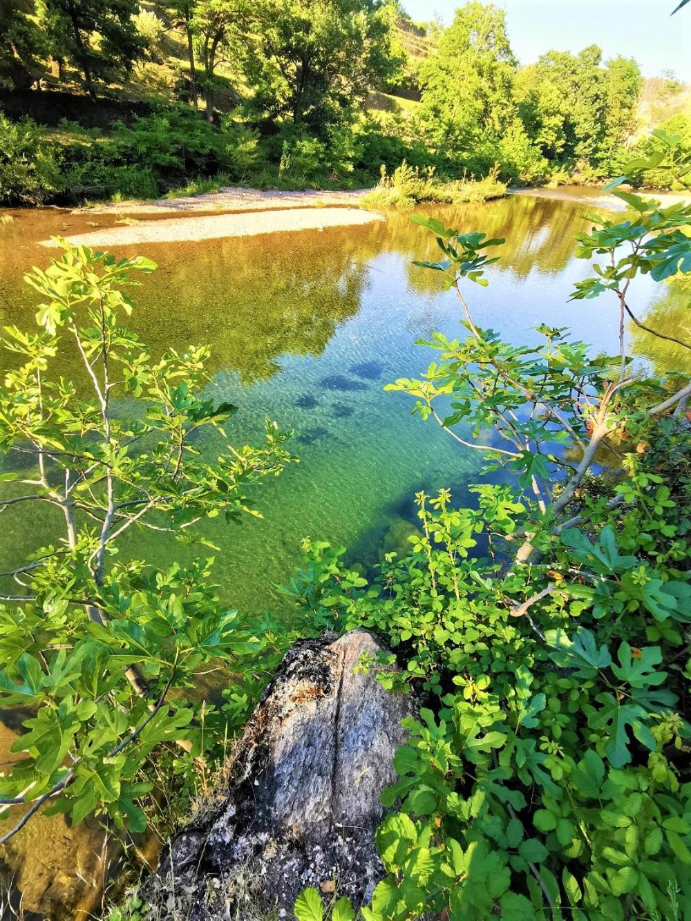Le Moulin Du Luech * Peyremale
